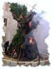 Visualizza immagine